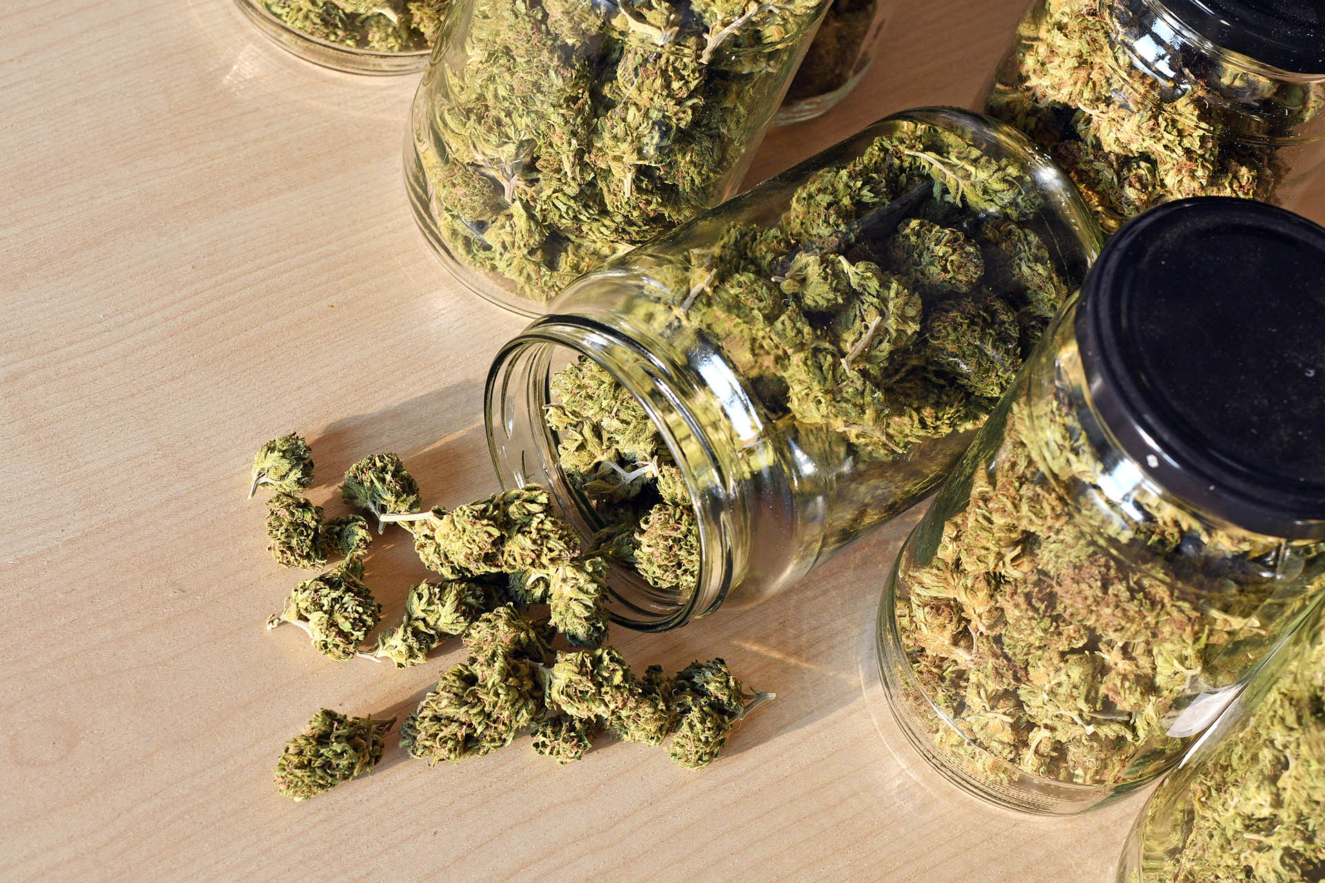 cannabis storage
